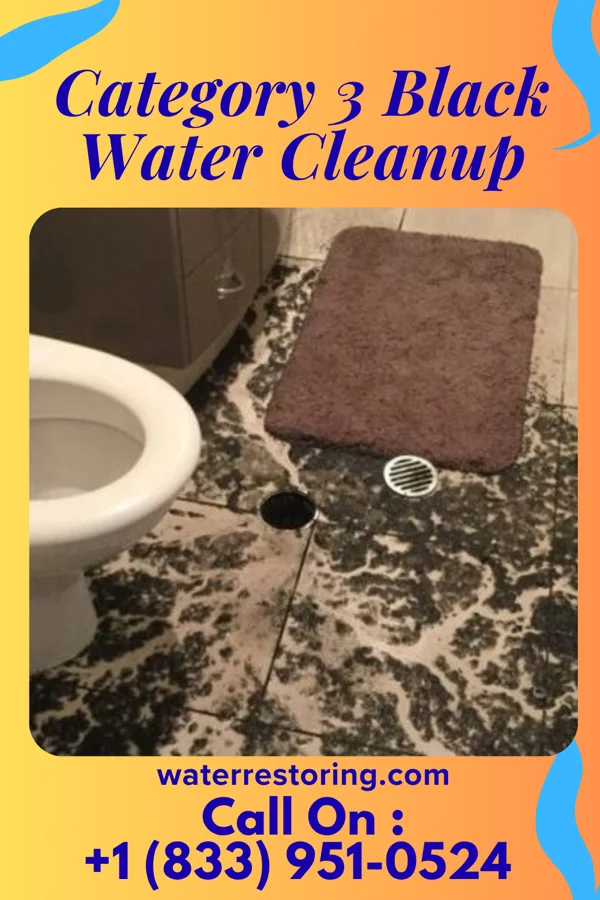 Category 3 Black Water Cleanup in Celina, OH